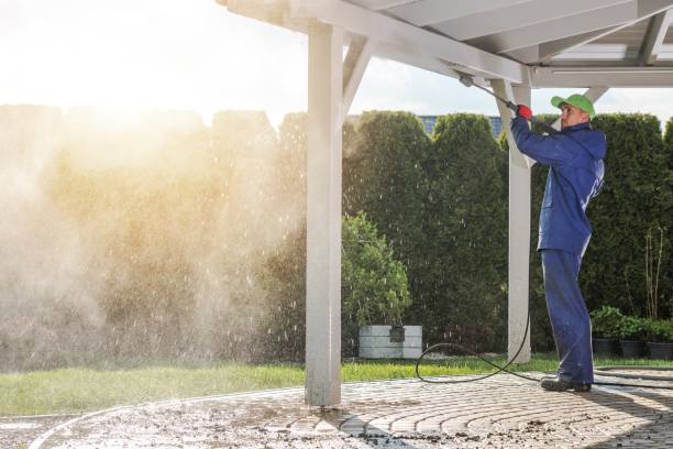 Best Pre-Holiday Cleaning  in Wellington, TX